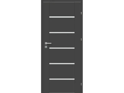 Fido - Classic Interior Door, Graphite